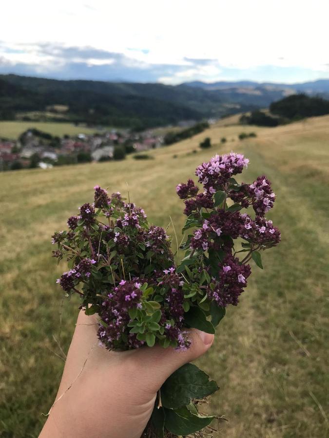 Chalupa Helena Na Poraci Eksteriør bilde